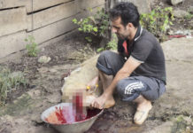 희생절 어린양 – 이란