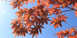 비전상실증후군(Boiled Frog Syndrome)