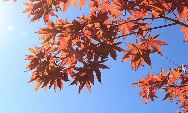 비전상실증후군(Boiled Frog Syndrome)