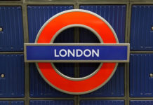 새로운 시작, 사진 속의 삶을 산다는 것