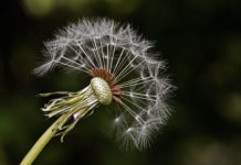 하나님께서 맡기신 씨앗들…