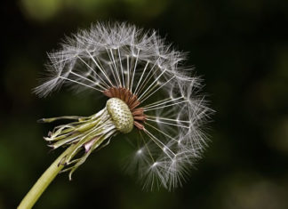 하나님께서 맡기신 씨앗들…