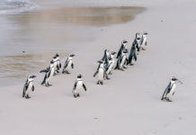 나는 어떠한 리더인가?