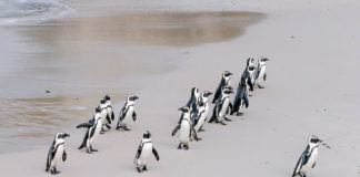 나는 어떠한 리더인가?