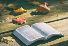 성경에 모든 답이 있다