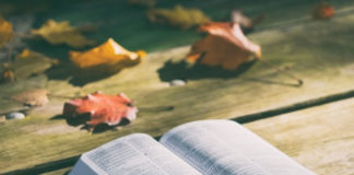 성경에 모든 답이 있다