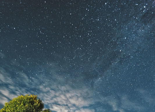 한인기독청년연합회(KYCF) 수련회