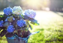 순간의 꽃, 순간의 하나님