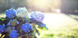 순간의 꽃, 순간의 하나님