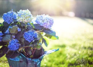 순간의 꽃, 순간의 하나님