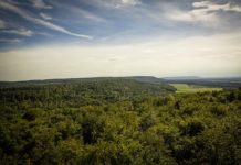 가인, 하나님 나라에서의 첫 탈락자! 아벨, 하나님의 나라에 초청된 자!’
