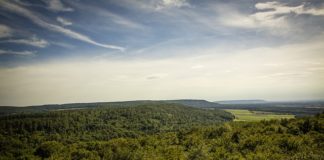 가인, 하나님 나라에서의 첫 탈락자! 아벨, 하나님의 나라에 초청된 자!’