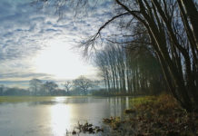 홍수로 인한 하나님 나라의 위기