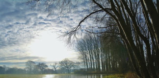 홍수로 인한 하나님 나라의 위기