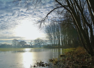 홍수로 인한 하나님 나라의 위기
