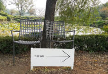 안식년인가 아니면 안쉴년(?)인가?