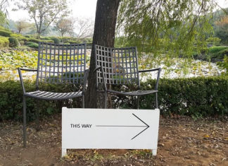 안식년인가 아니면 안쉴년(?)인가?