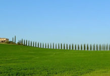 “아부지 딸인 난 얼마나 부자겠소?”