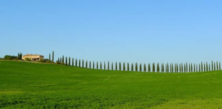 “아부지 딸인 난 얼마나 부자겠소?”