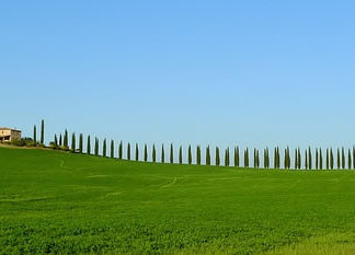 “아부지 딸인 난 얼마나 부자겠소?”