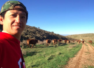 들판에서 가축 돌보는 게 쉬운 줄 알았지!