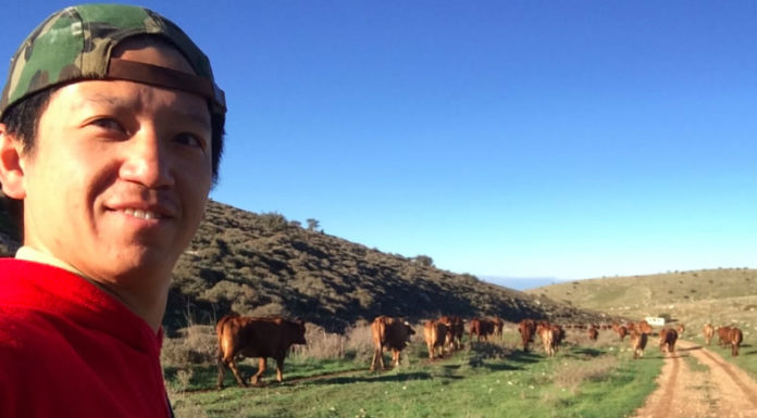 들판에서 가축 돌보는 게 쉬운 줄 알았지!