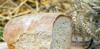 행동하는 신앙인