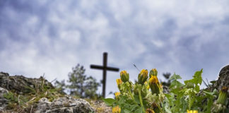 고난을 통해 얻는 유익