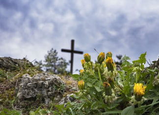 고난을 통해 얻는 유익