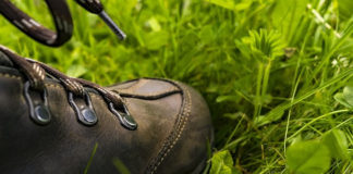 하나님 나라의 위기속에 등장하는 해결사로서의 기업 무를 자