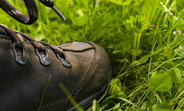 하나님 나라의 위기속에 등장하는 해결사로서의 기업 무를 자