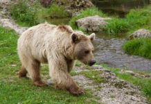 “천천히 걸어요 살 빠져요”