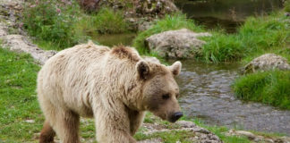 “천천히 걸어요 살 빠져요”