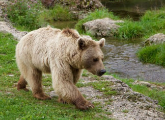 “천천히 걸어요 살 빠져요”