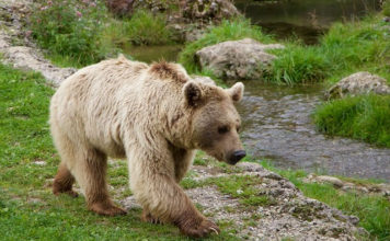 “천천히 걸어요 살 빠져요”