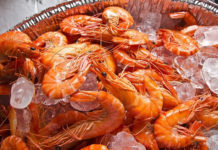 알레르기의 알레르기