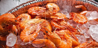 알레르기의 알레르기