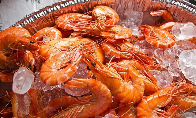 알레르기의 알레르기