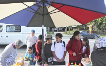 테 아로하(Te Aroha)교회 발자취
