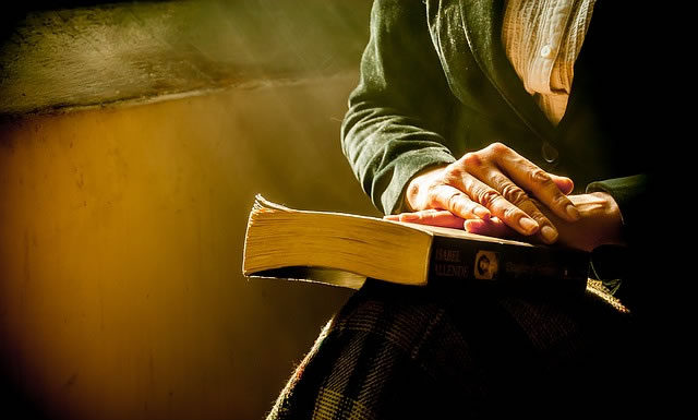 예수님의 화평의 역사를 위해 기도할 때