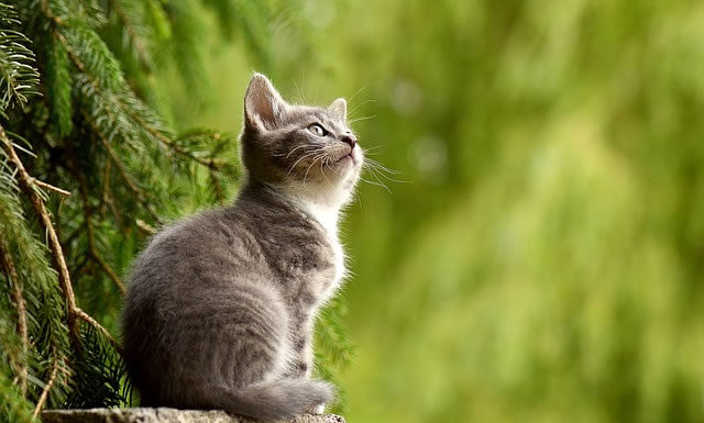 우리, 조금만 바꿔보면 안될까요?