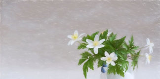 선교지에서 선교사의 삶이란