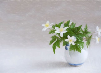 선교지에서 선교사의 삶이란