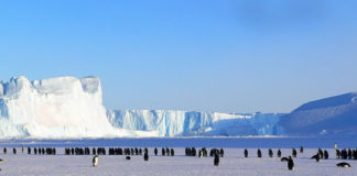 사도행전적 선교적교회의 특징, 기다림