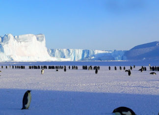 사도행전적 선교적교회의 특징, 기다림