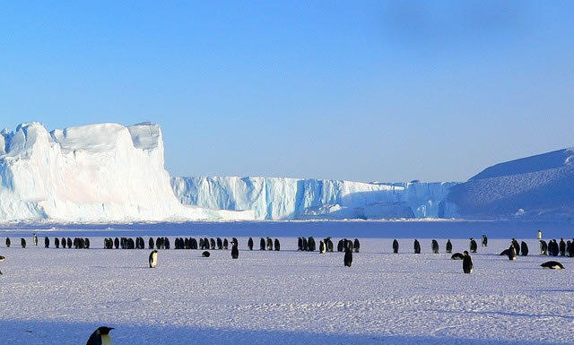 독감과 그리스도인의 삶