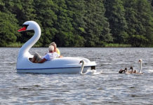 리더십이란 무엇인가?