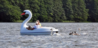 리더십이란 무엇인가?