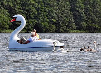 리더십이란 무엇인가?