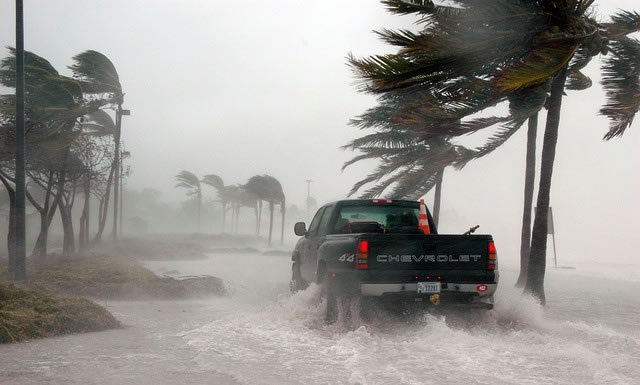 허리케인과 모성애